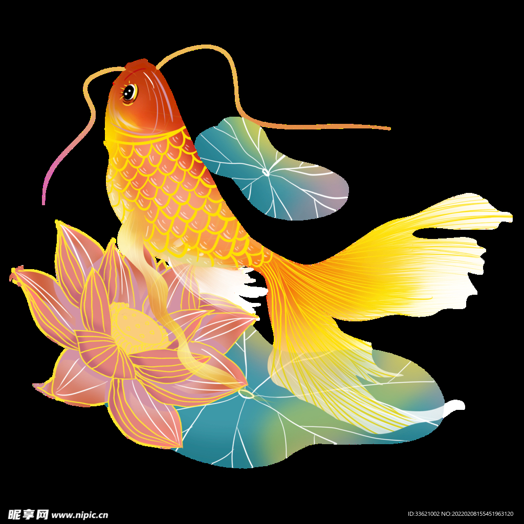 锦鲤  金鱼插画  国潮素材 