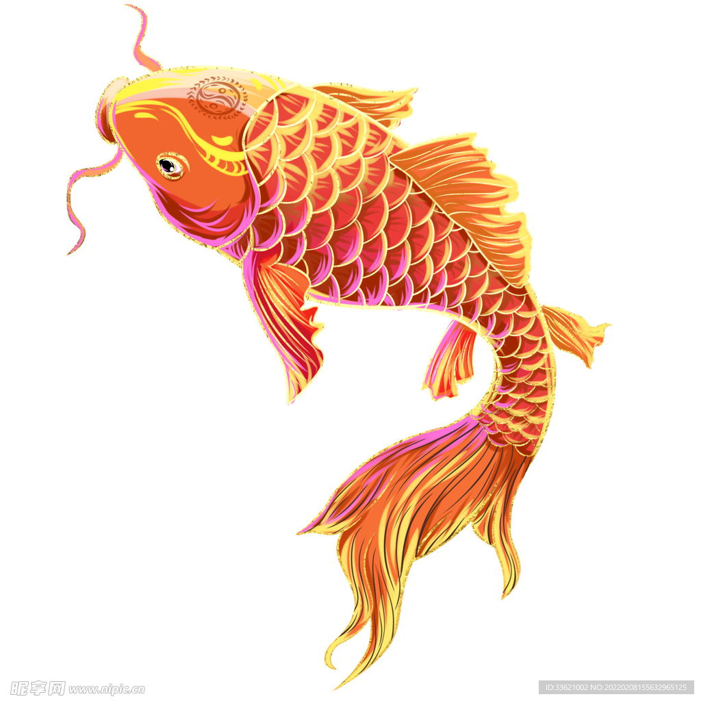 锦鲤  金鱼插画  国潮素材 