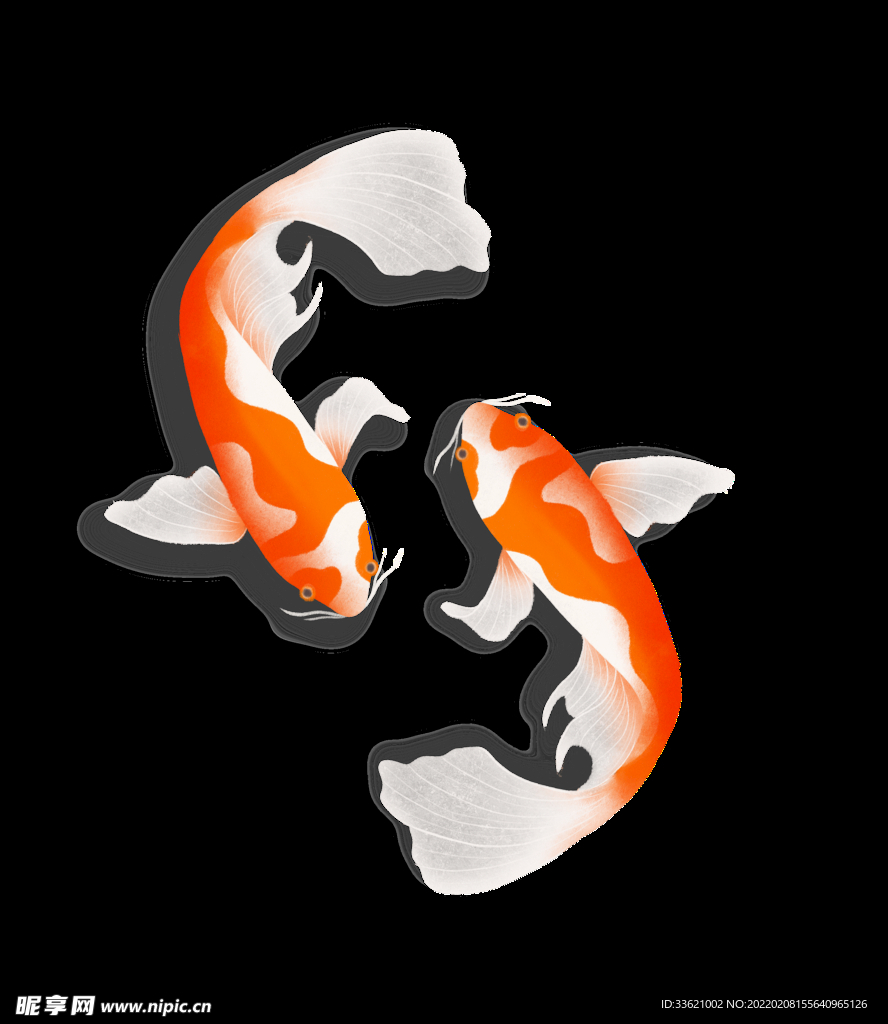 锦鲤  金鱼插画  国潮素材 