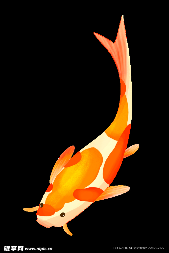 锦鲤  金鱼插画  国潮素材 