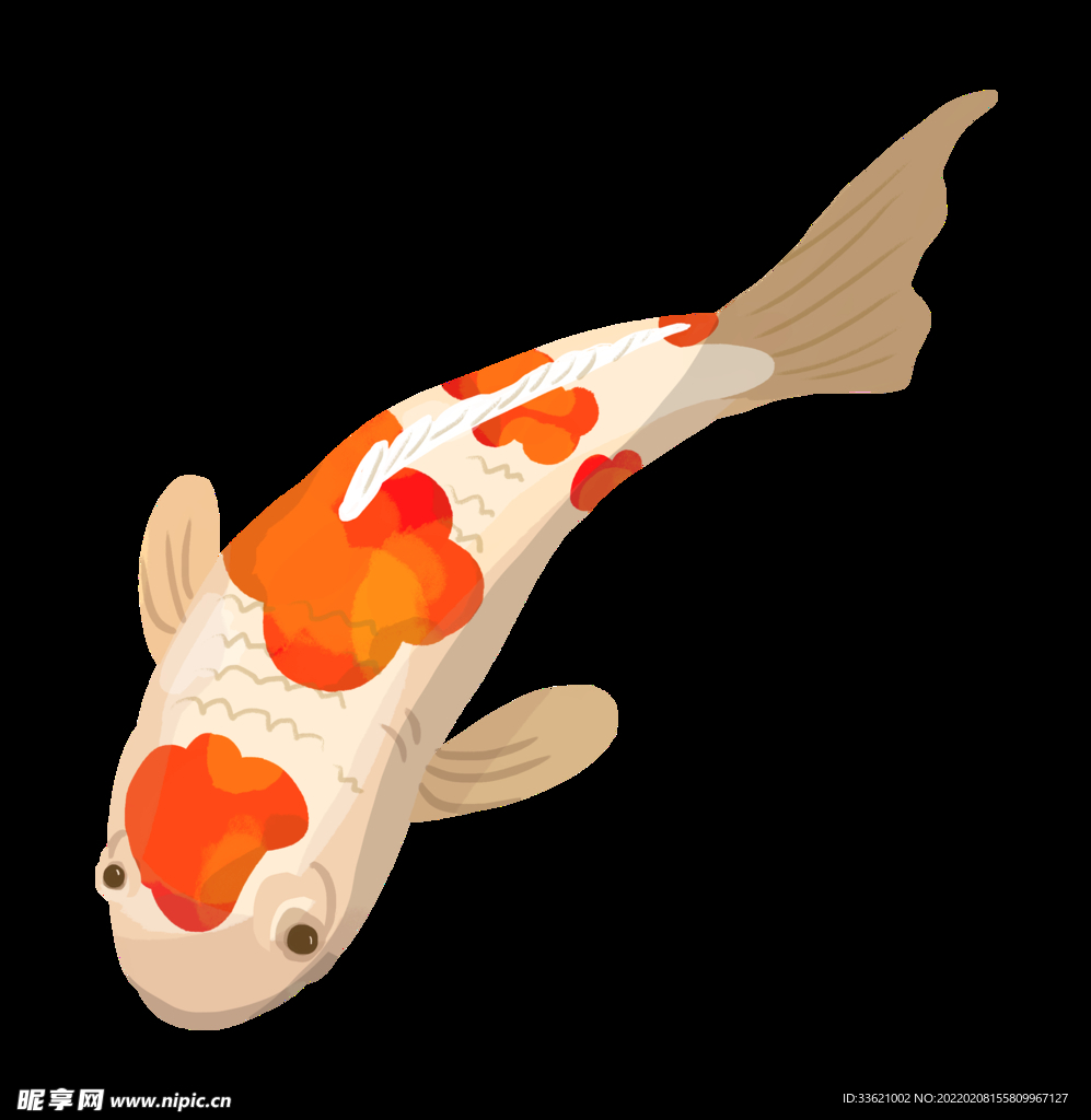 锦鲤  金鱼插画  国潮素材 