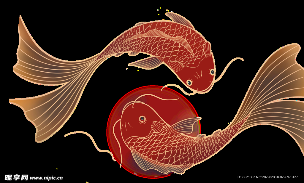 锦鲤  金鱼插画  国潮素材 