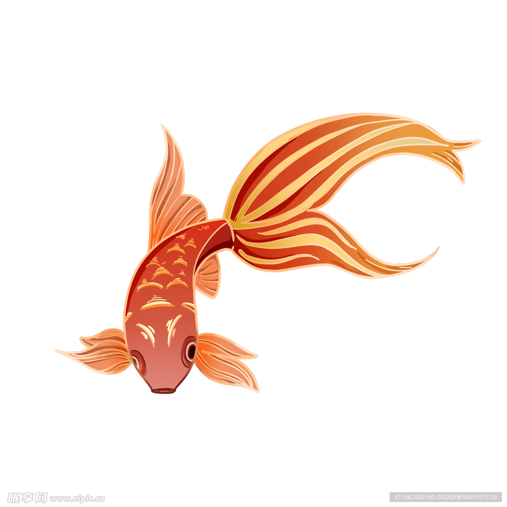 锦鲤  金鱼插画  国潮素材 