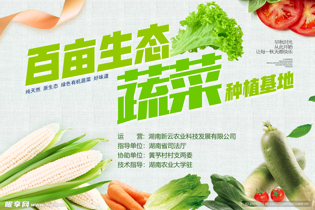 百亩生态蔬菜种植基地