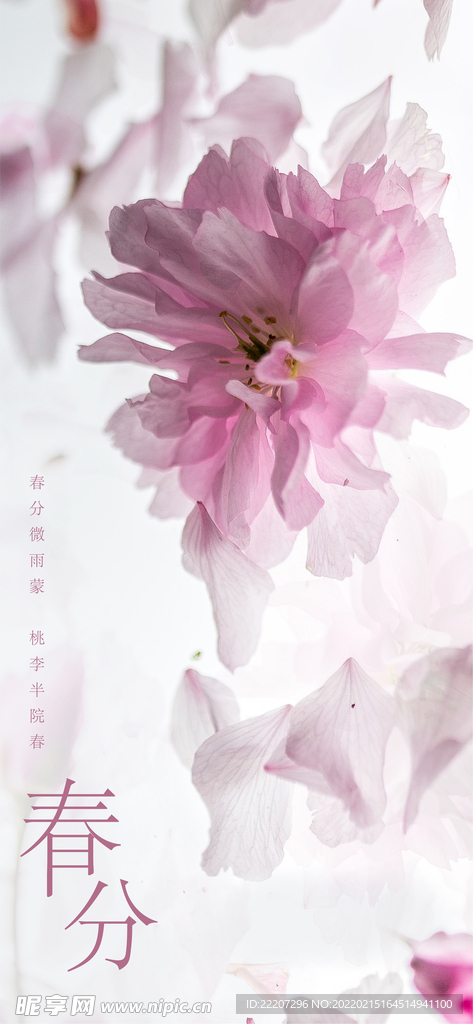 春分微雨蒙桃李半院春春分节气