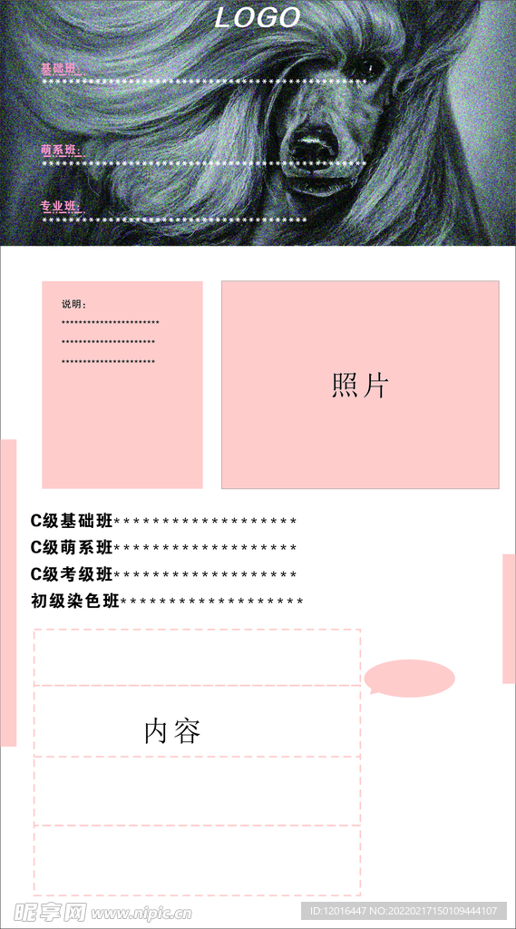 宠物课程活动海报展板