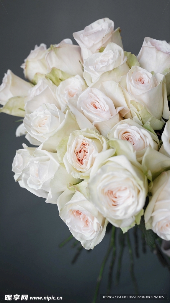 鲜花白玫瑰 结婚