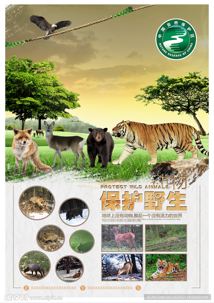 保护野生动物