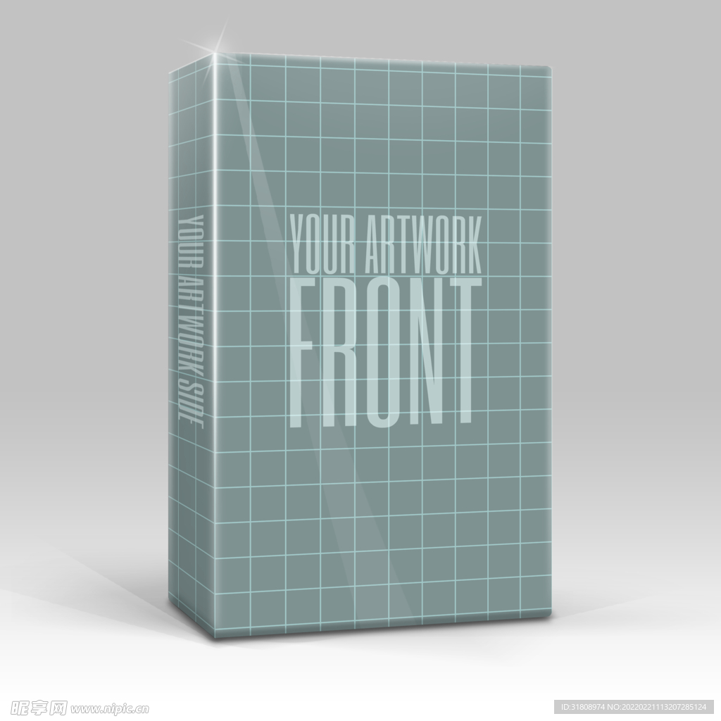 竖立盒子的包装品牌样机