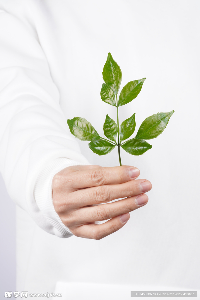 植树节主题创意摄影