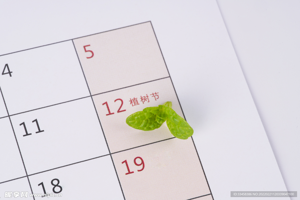 植树节主题创意摄影