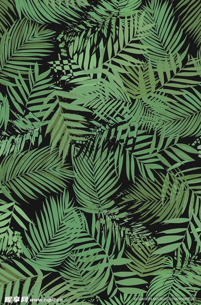 大牌 叶子 热带植物