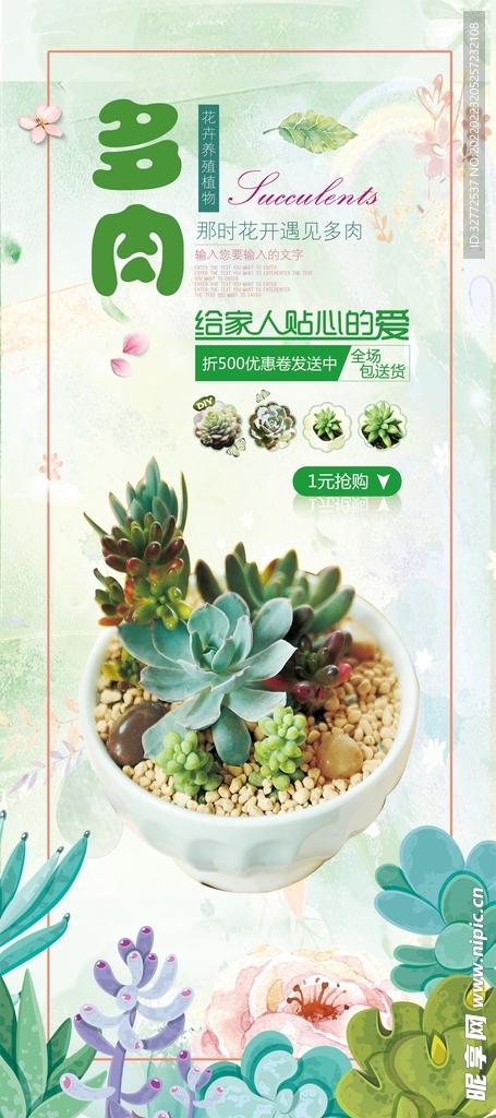 多肉植物展架
