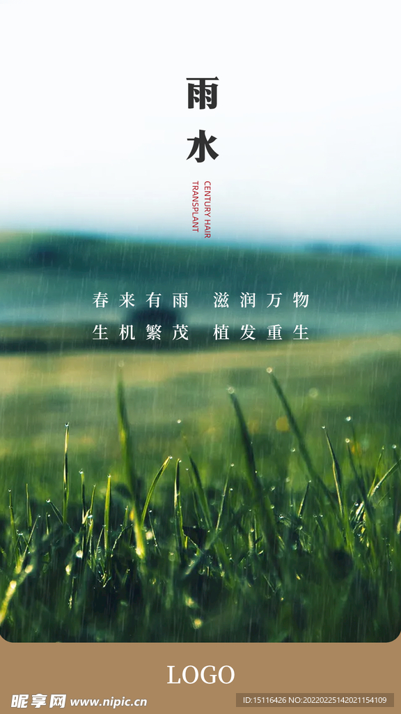 雨水节气品牌图