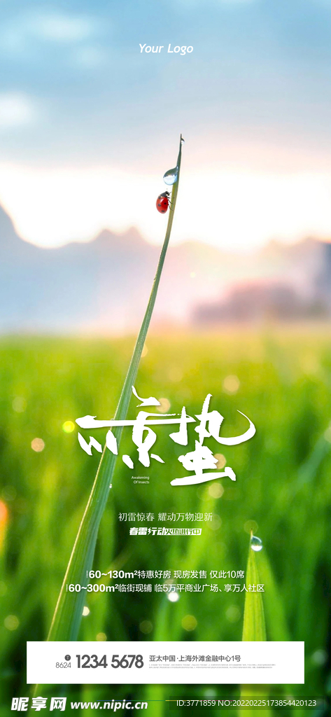 高端清新惊蛰节气海报