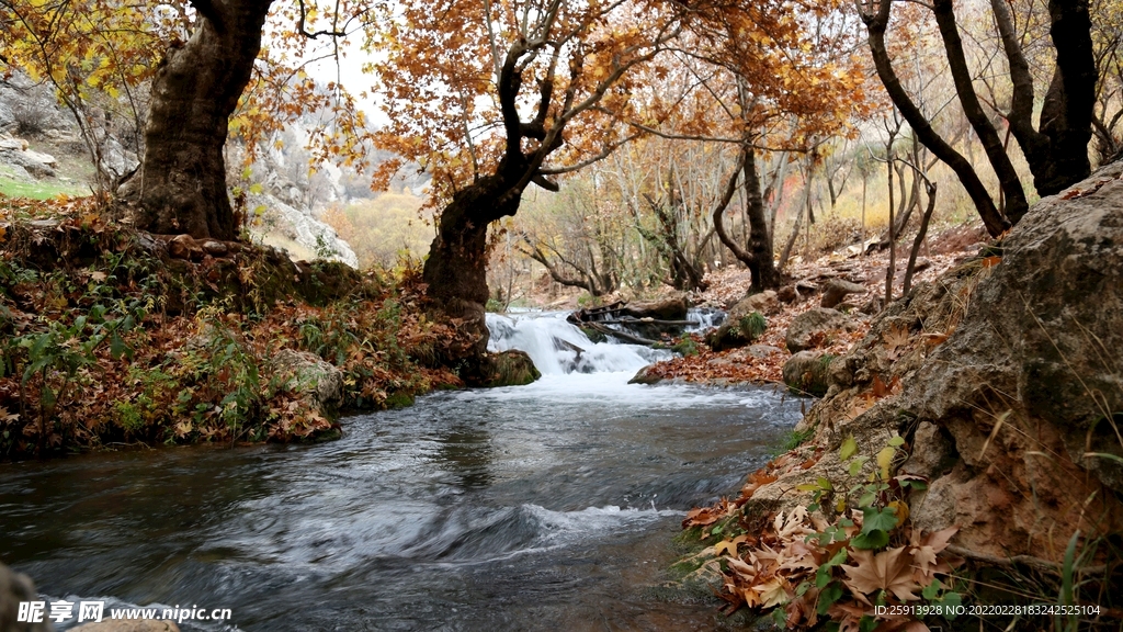 小河 小溪 流水 岩石 鹅卵石