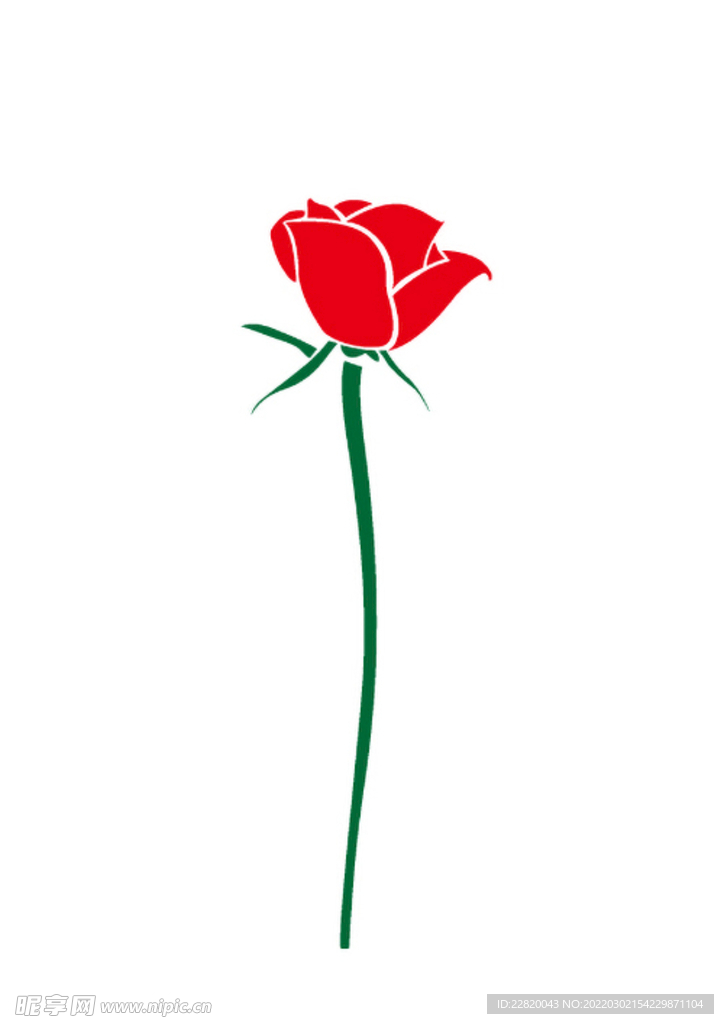 女神节一束玫瑰花