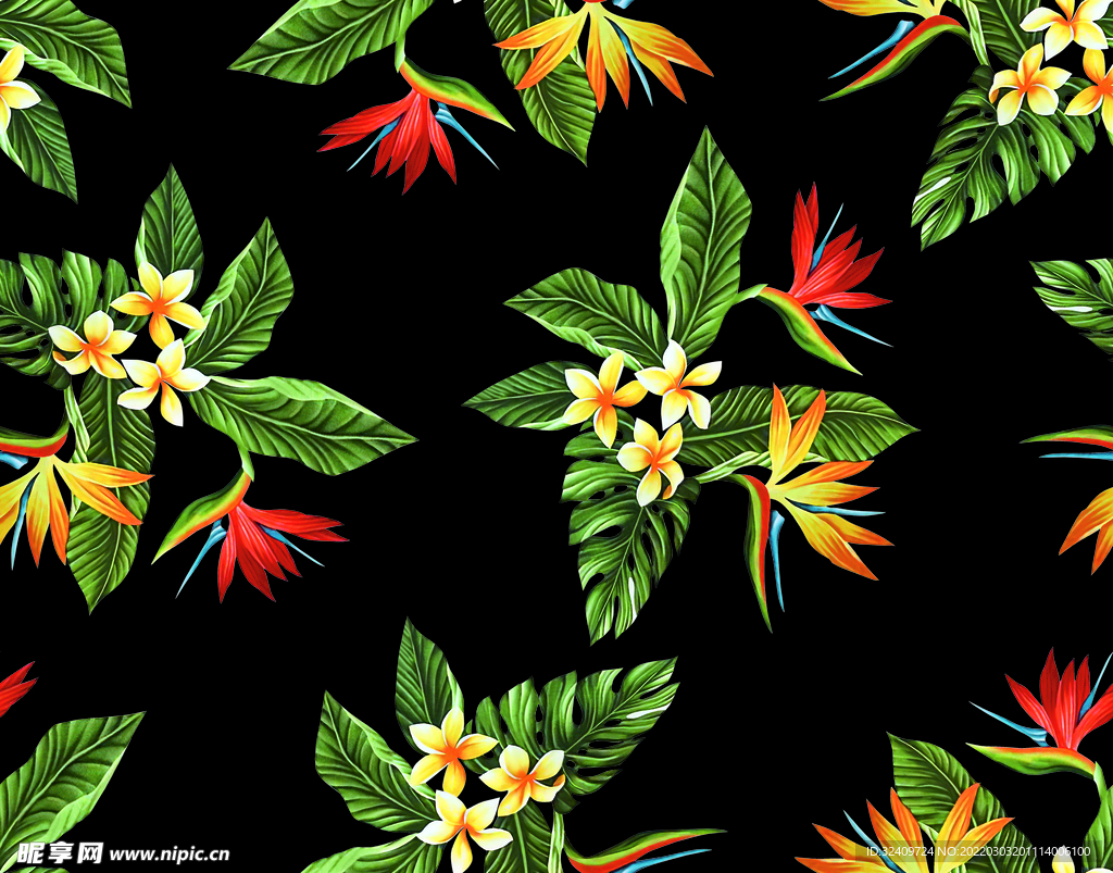 大牌 热带花植物 叶子