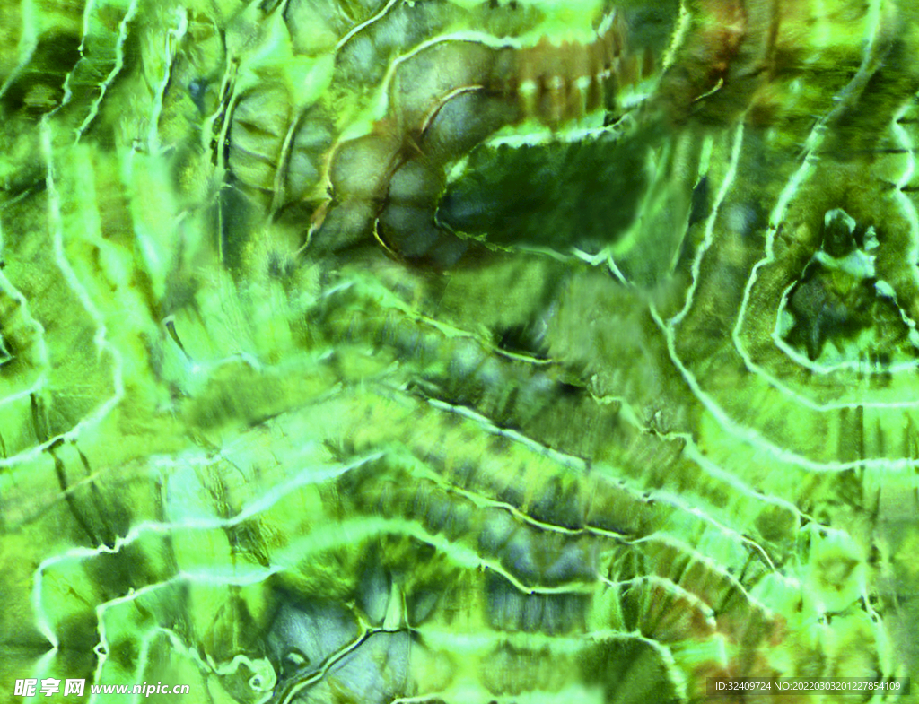 大牌 扎染 水波纹