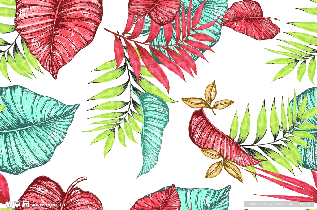 大牌 热带植物 叶子