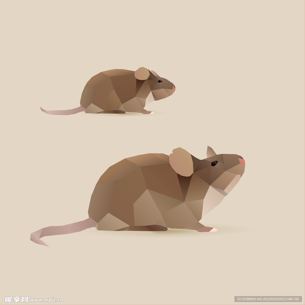 老鼠几何图片