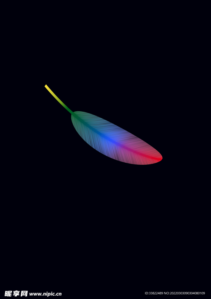 彩色羽毛