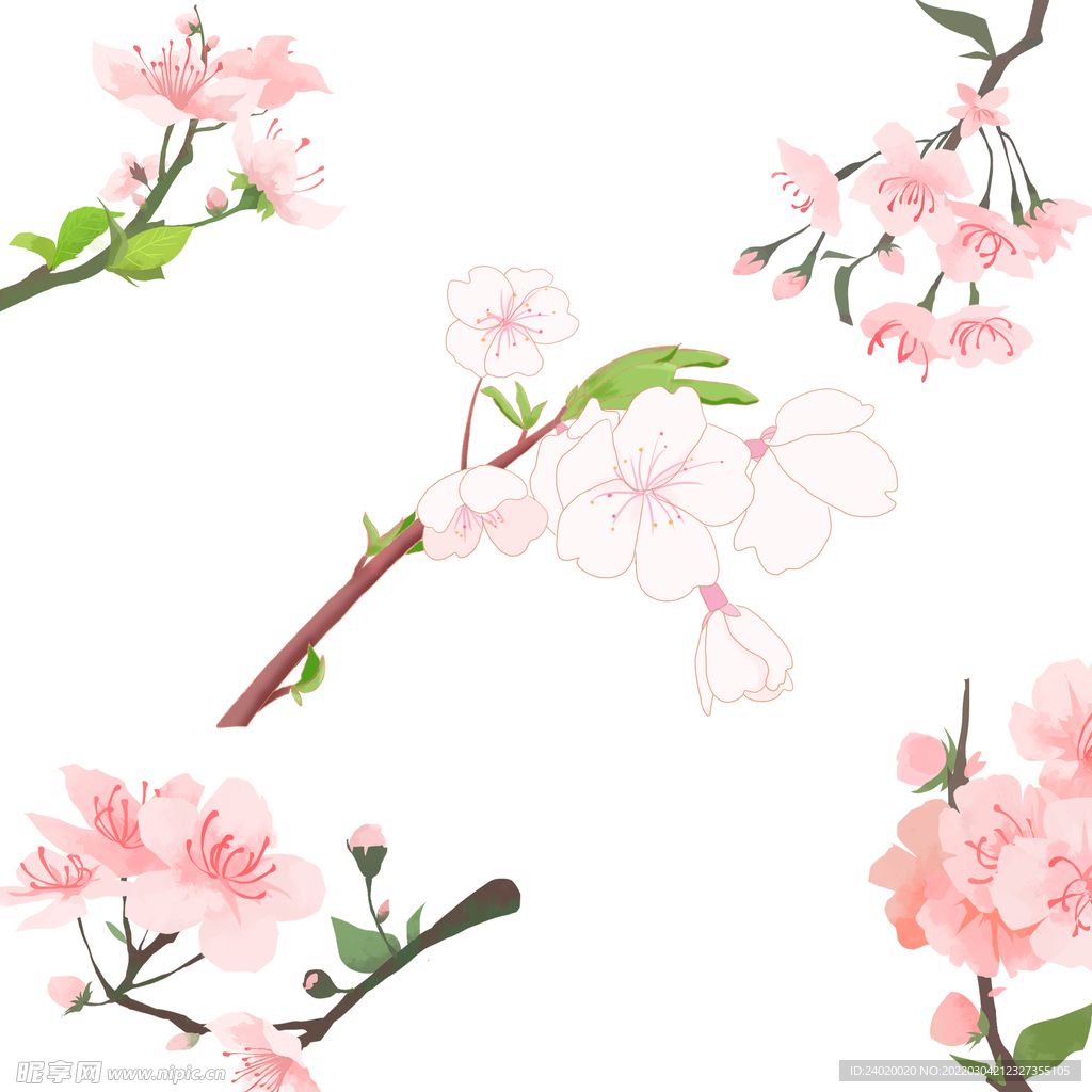 手绘樱花素材
