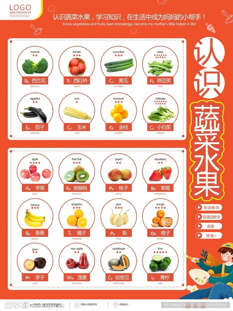 看图识蔬菜水果