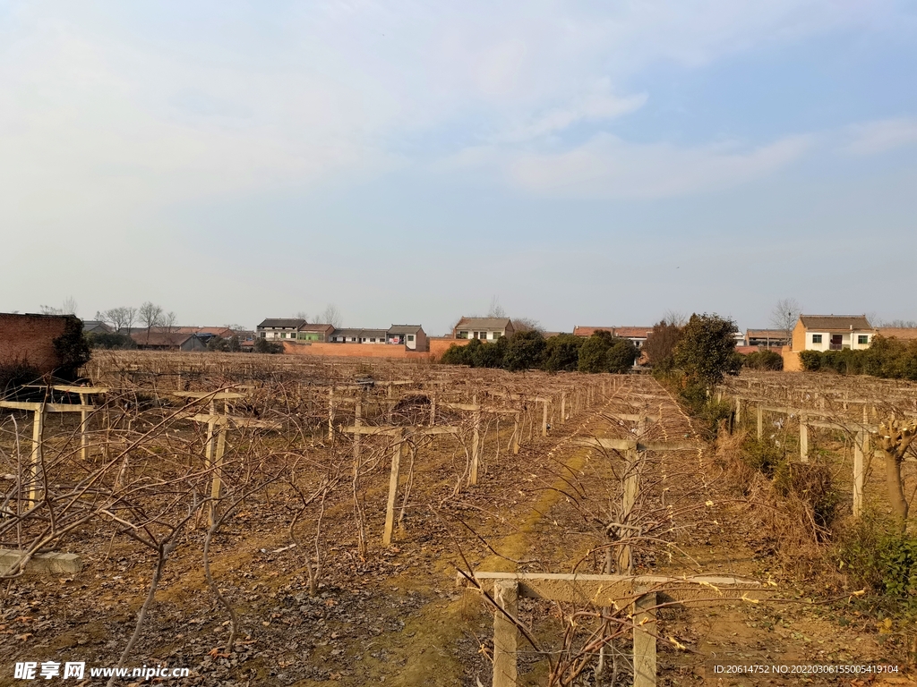 美丽的乡村风景