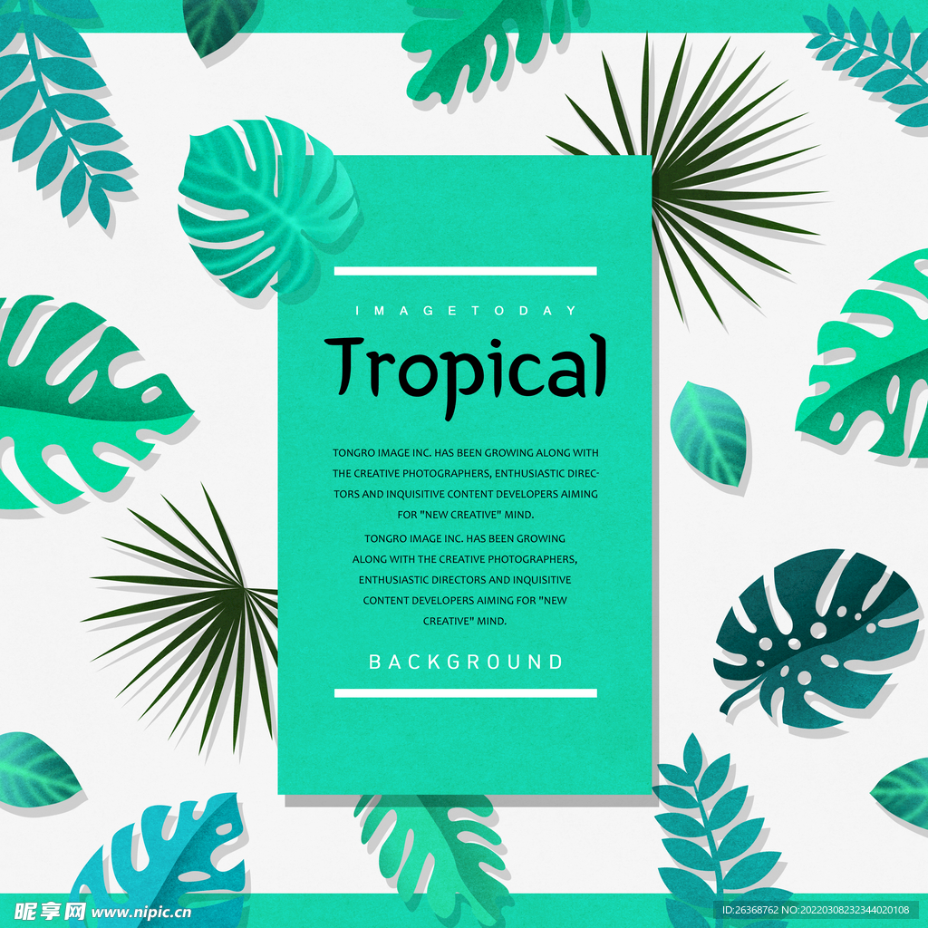 夏季花 框架标题图片