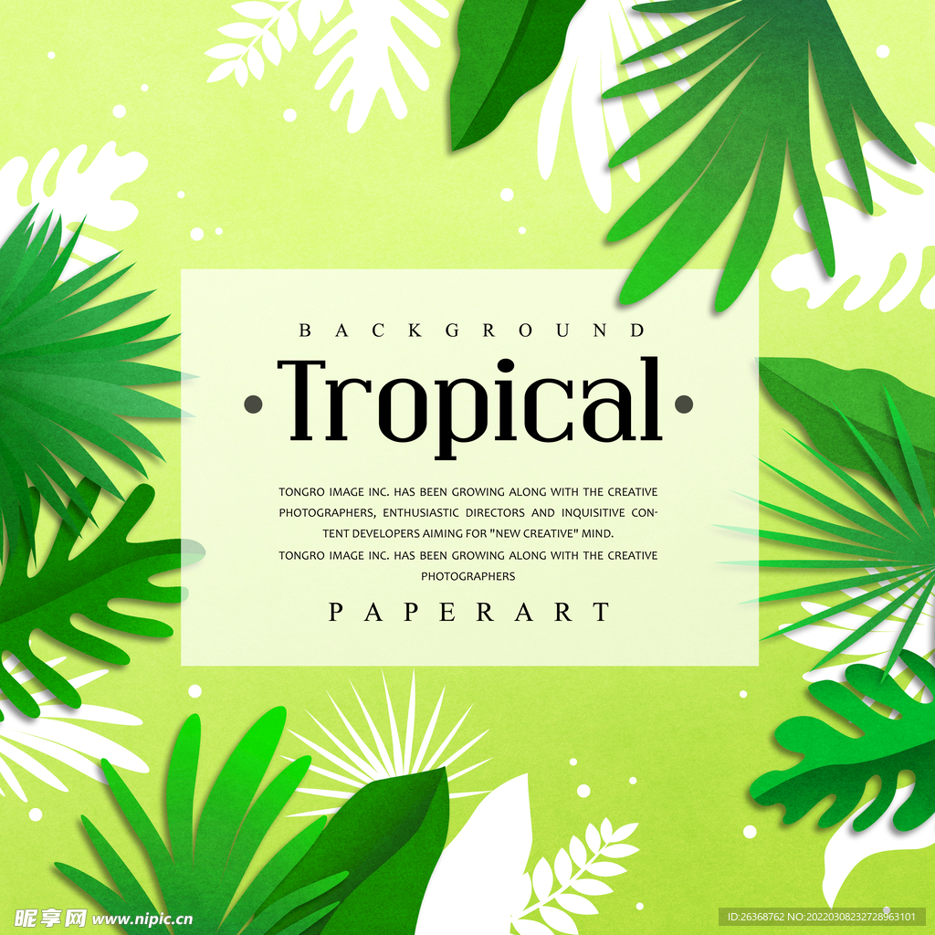 夏季花卉框架标题图片