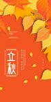 立秋节日节气海报