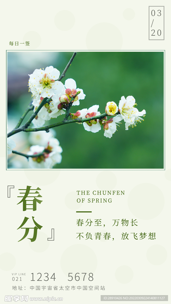 春分海报日签