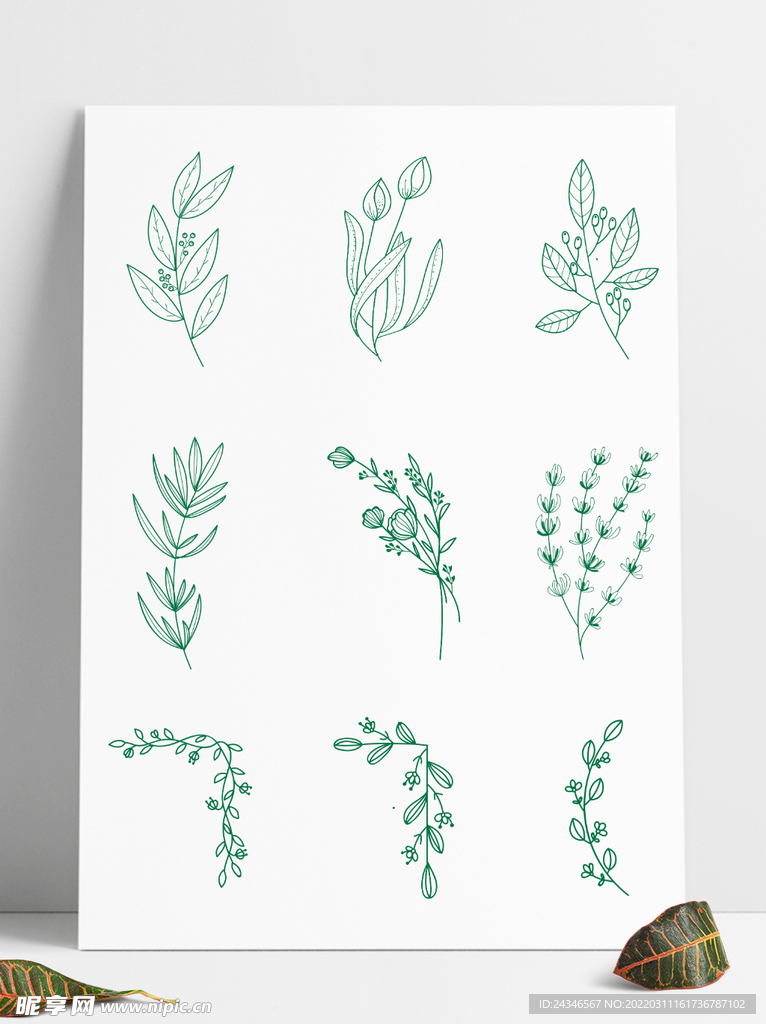 手绘插画漂亮的春天花草套图春季