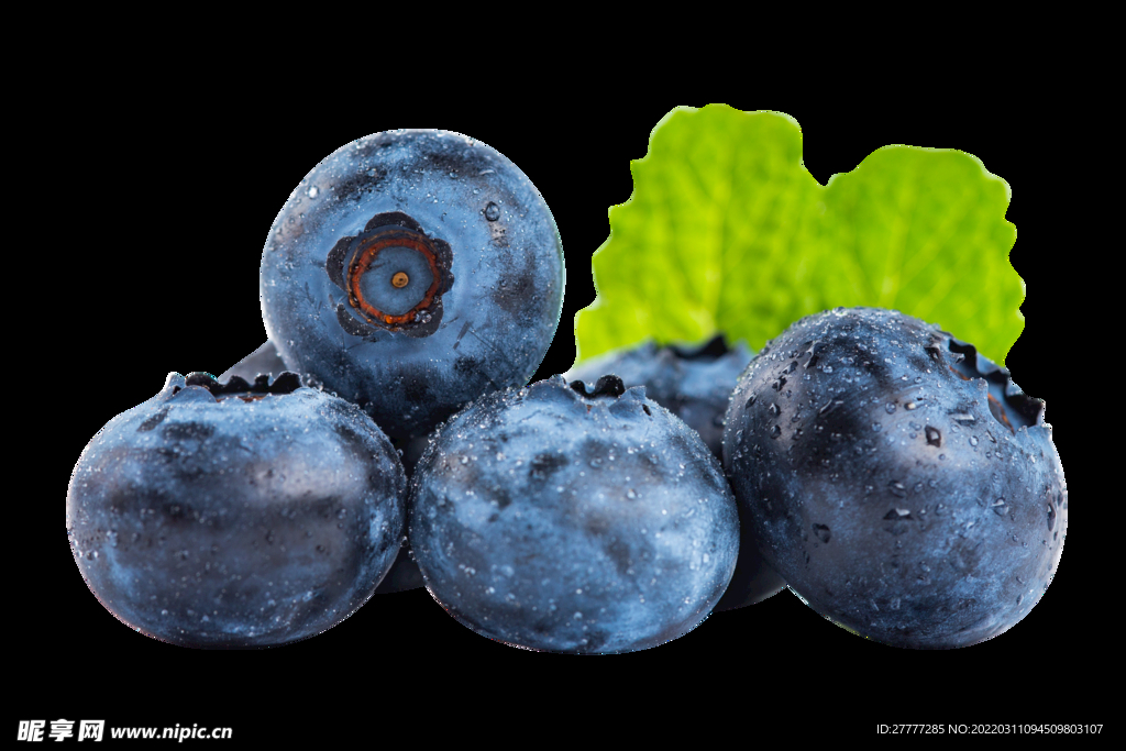 蓝莓果实