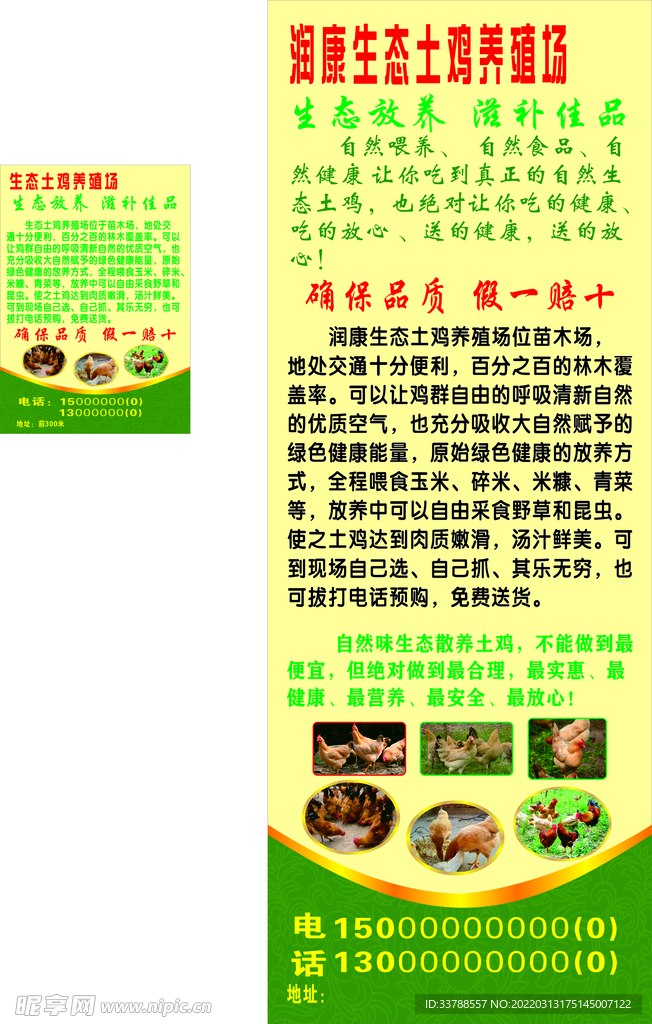 生态土鸡养殖场展架海报