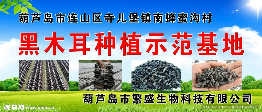 黑木耳种植基地