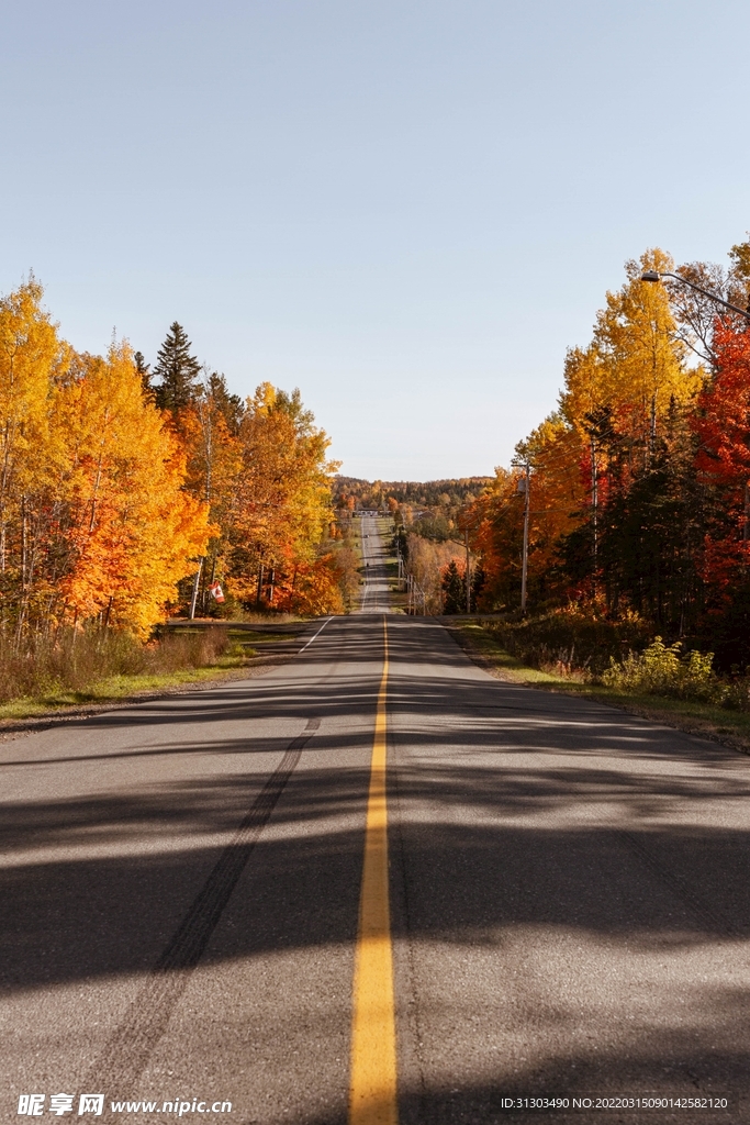 秋天公路