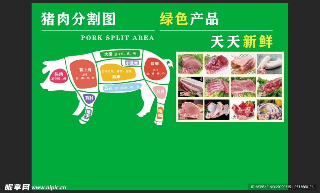 猪肉分割图  产品图