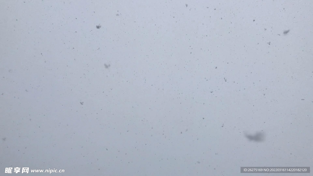 天空飘雪
