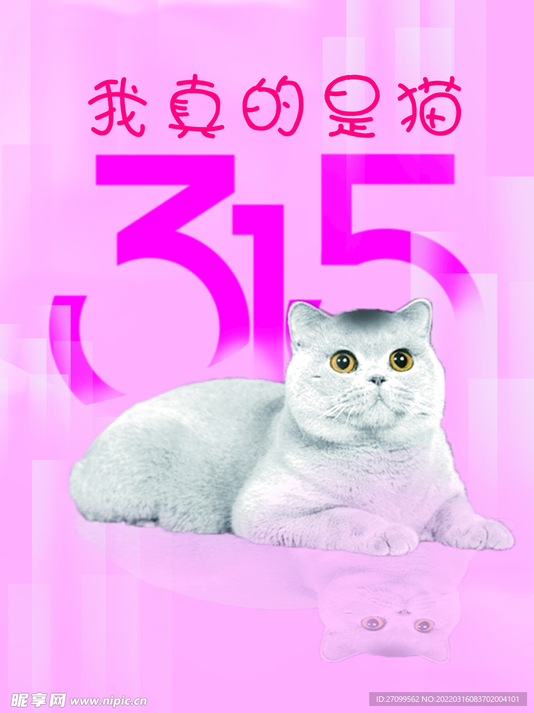 315猫咪打假