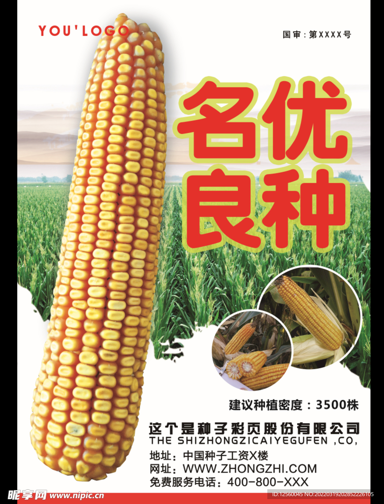 玉米海报