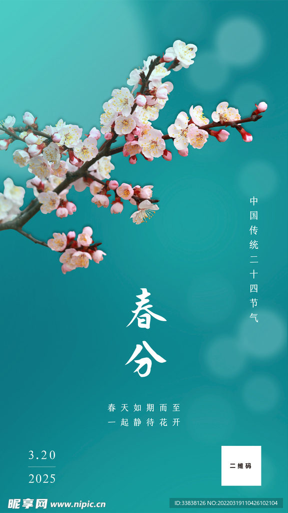 简约春分节气春季日签