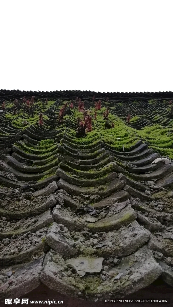 瓦房 青瓦 青苔