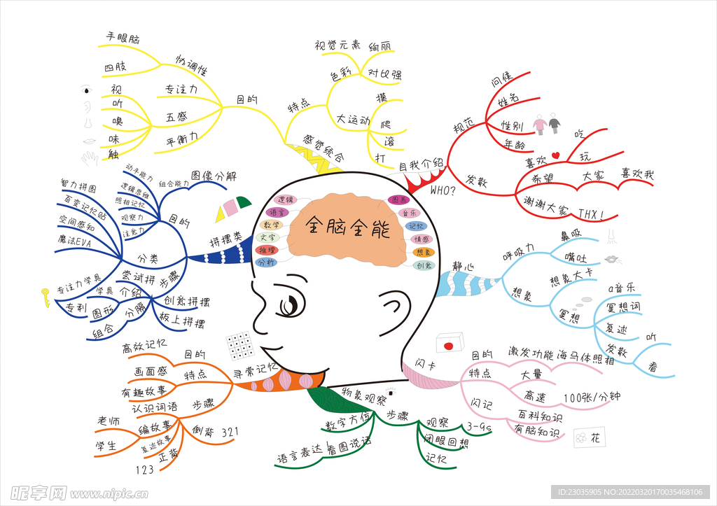 大脑开发示意图  全脑 教育 