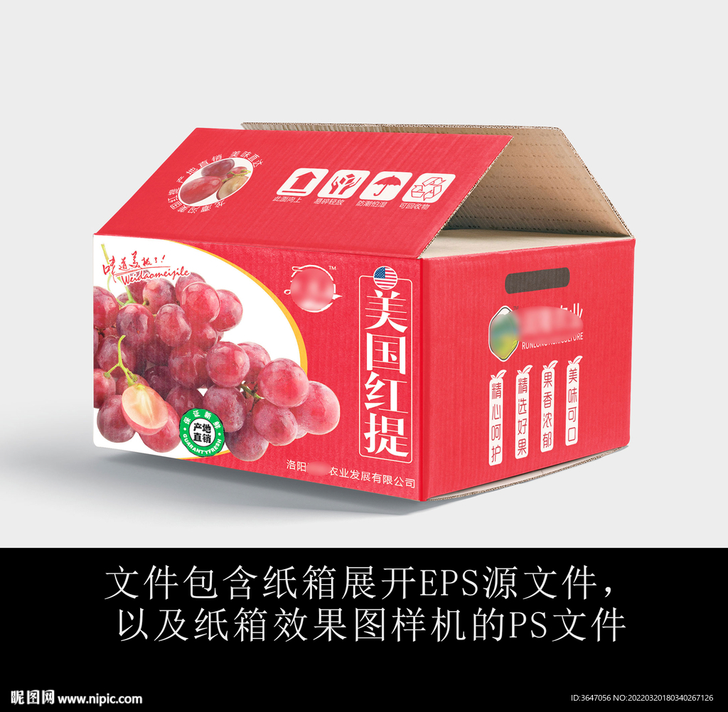 美国红提葡萄外包装设计
