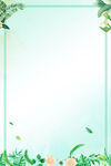 绿色边框背景
