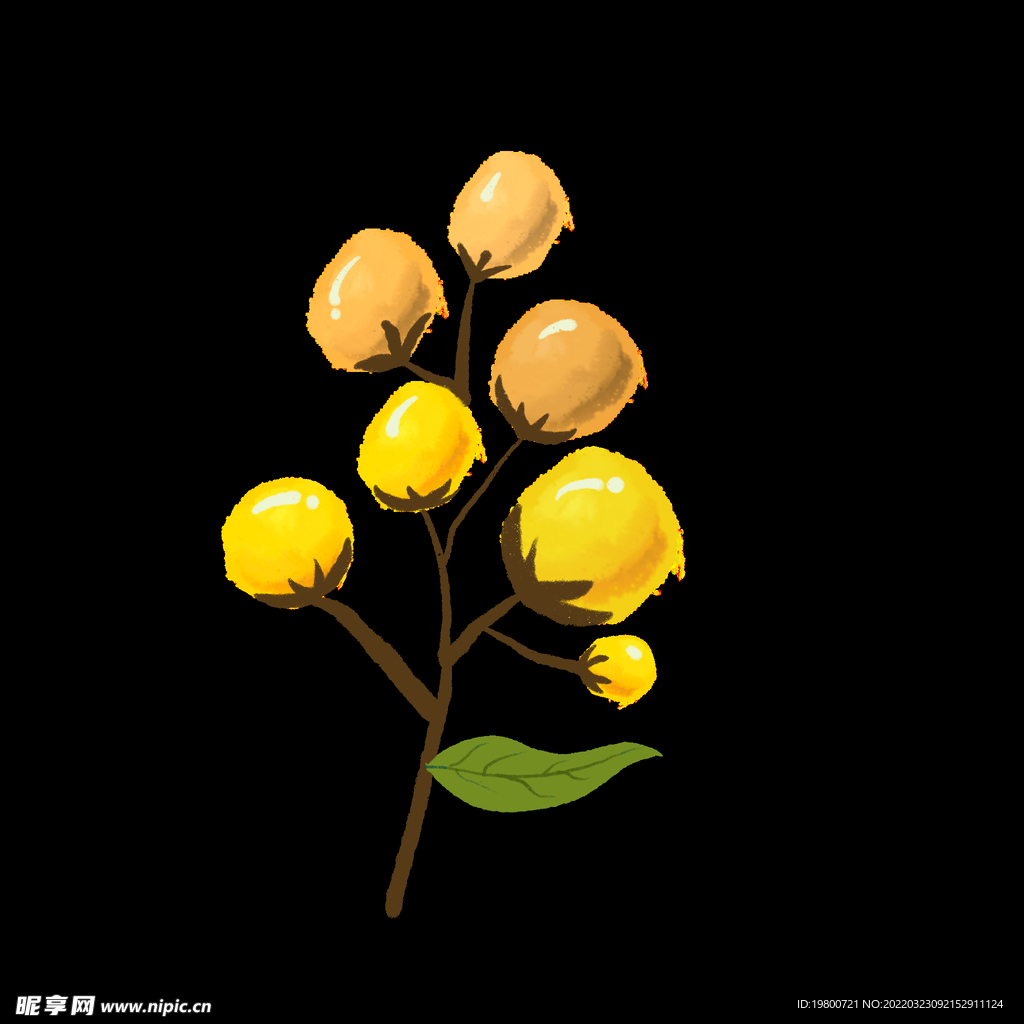 插画小元素植物小果子