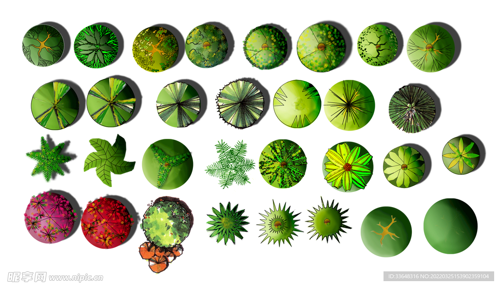 园林设计花草植物素材