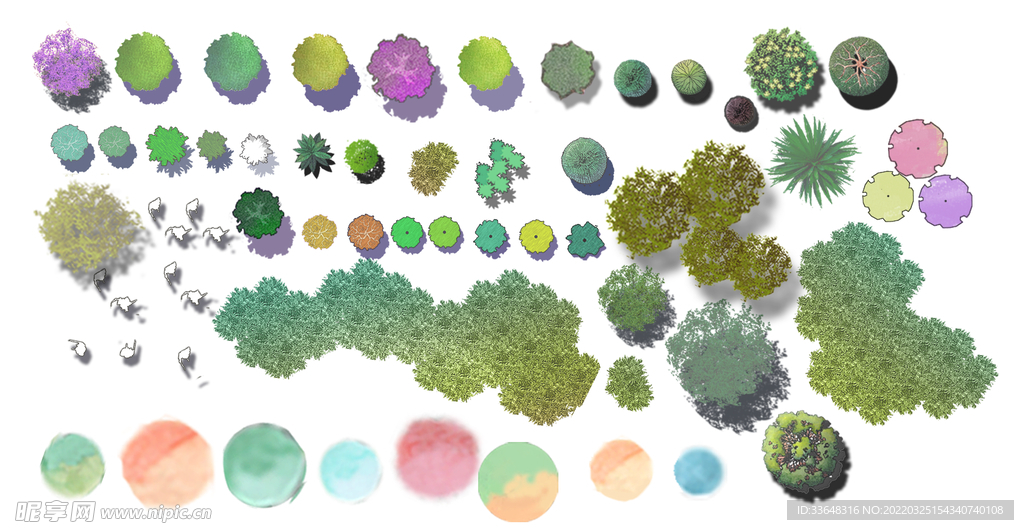 园林设计花草植物素材